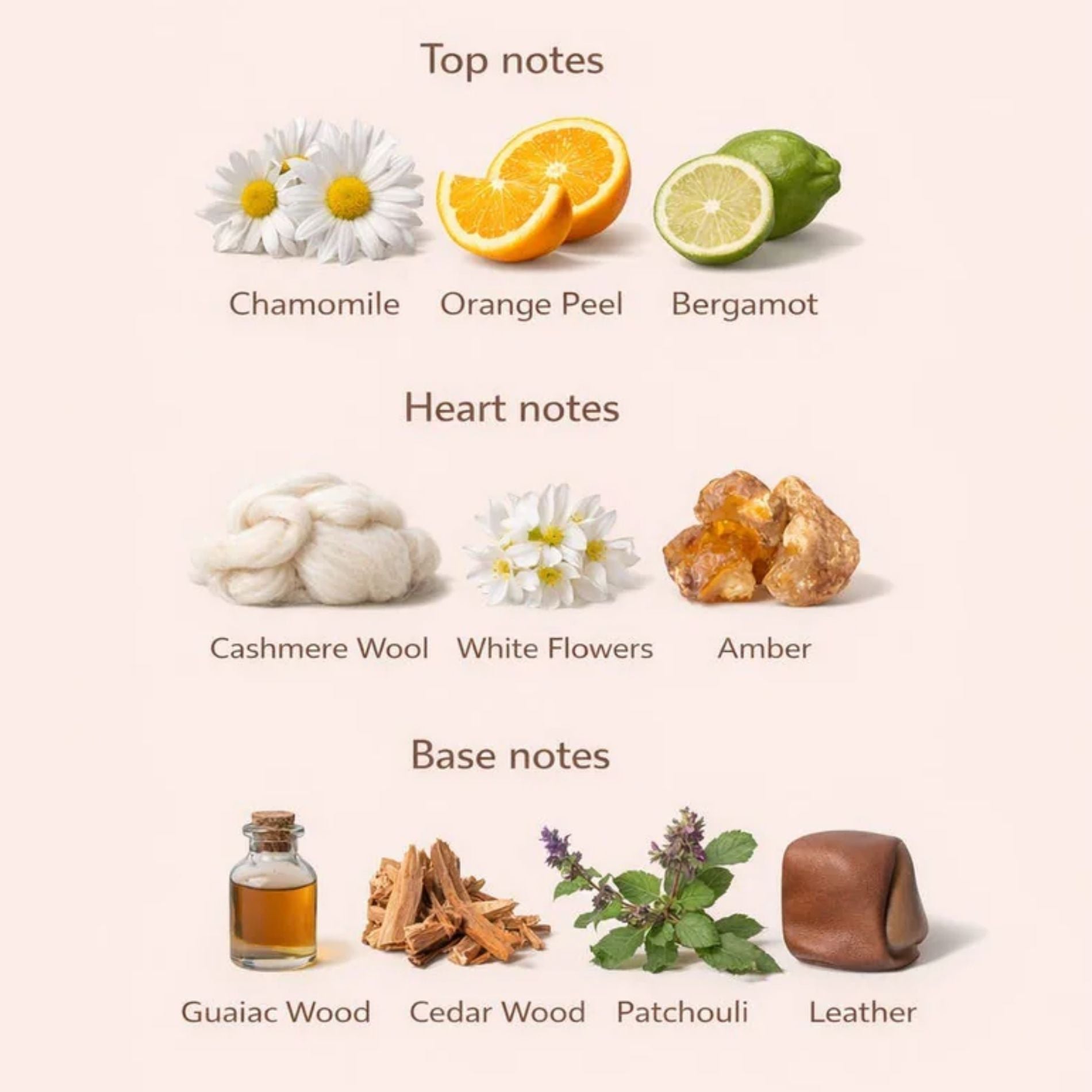 Geurnoten van zacht kasjmier geurkaars met bergamot, kamille, amber, cederhout en patchouli